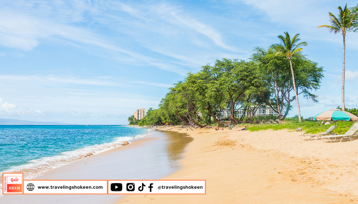 Mirissa Beach Sri Lanka tropical coastline ideal for a warm Christmas getaway